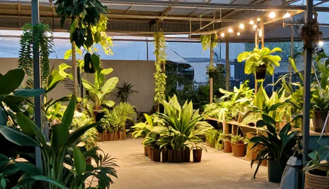 做网站那家比较好，品牌展示入口如何选择